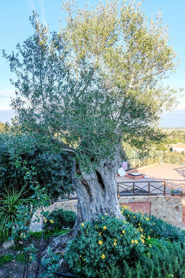 Monte Soalheiro Guest House ซัมบูเจย์ราโดมาร์ ภายนอก รูปภาพ