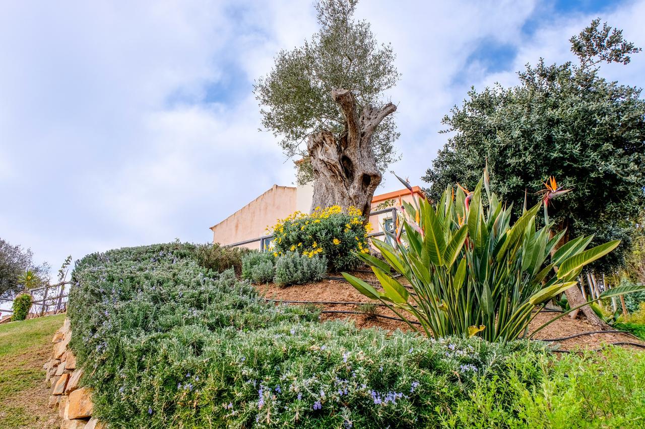 Monte Soalheiro Guest House ซัมบูเจย์ราโดมาร์ ภายนอก รูปภาพ